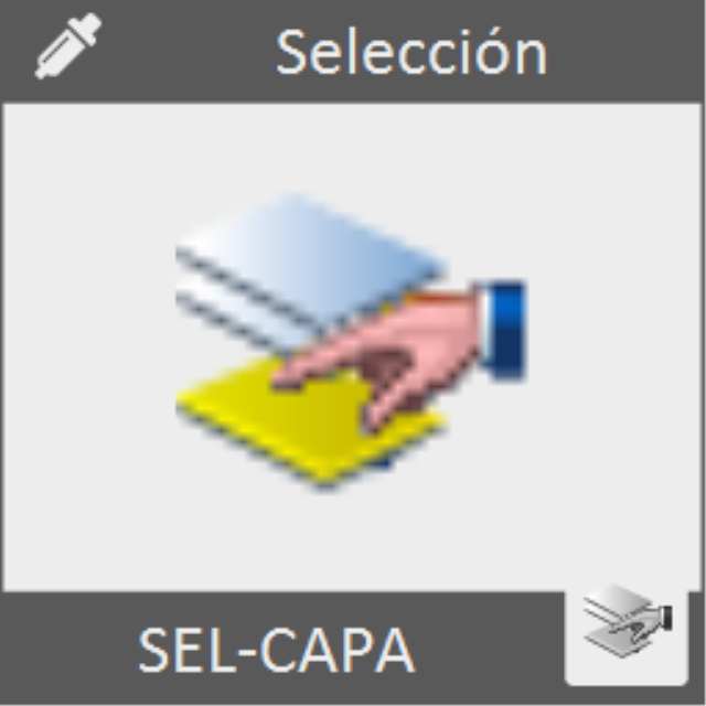 Selecciona todas las entidades de una determinada capa.